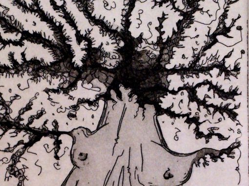 Corps & arbres